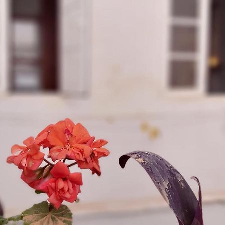 Del Parque Flats Alamos Terraza Leilighet Málaga Eksteriør bilde