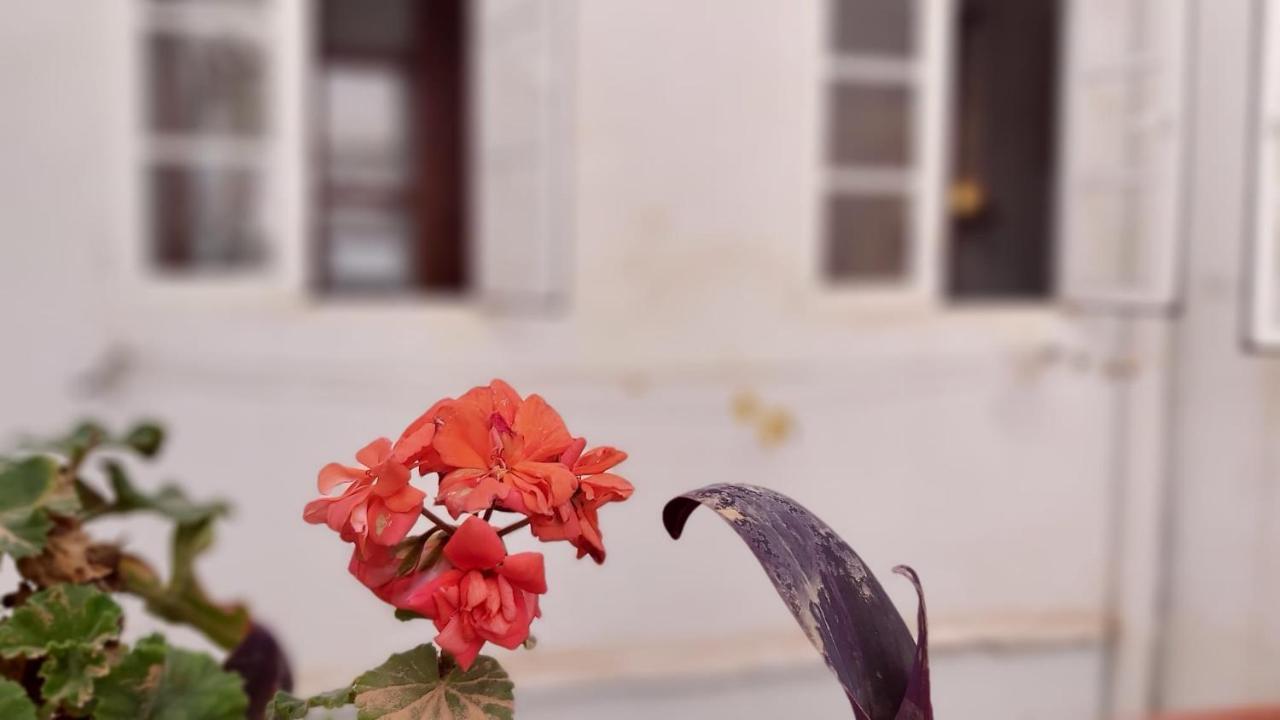 Del Parque Flats Alamos Terraza Leilighet Málaga Eksteriør bilde